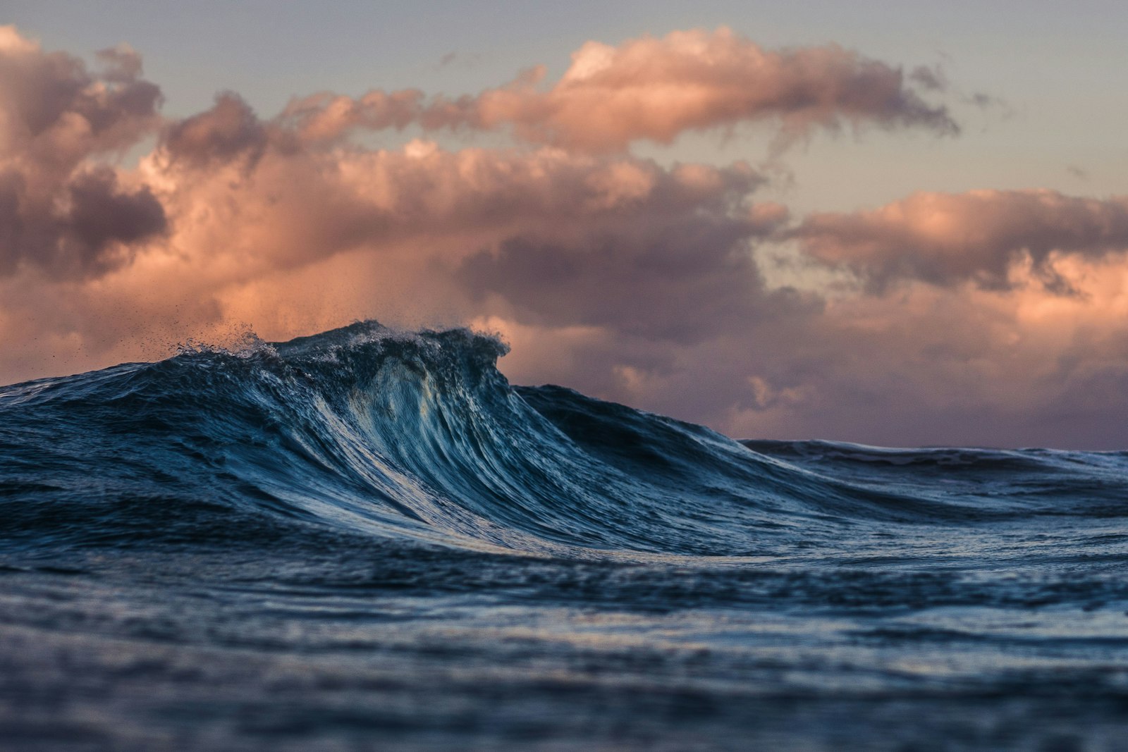 Mnemba Atoll · Dolphins & Sandbank