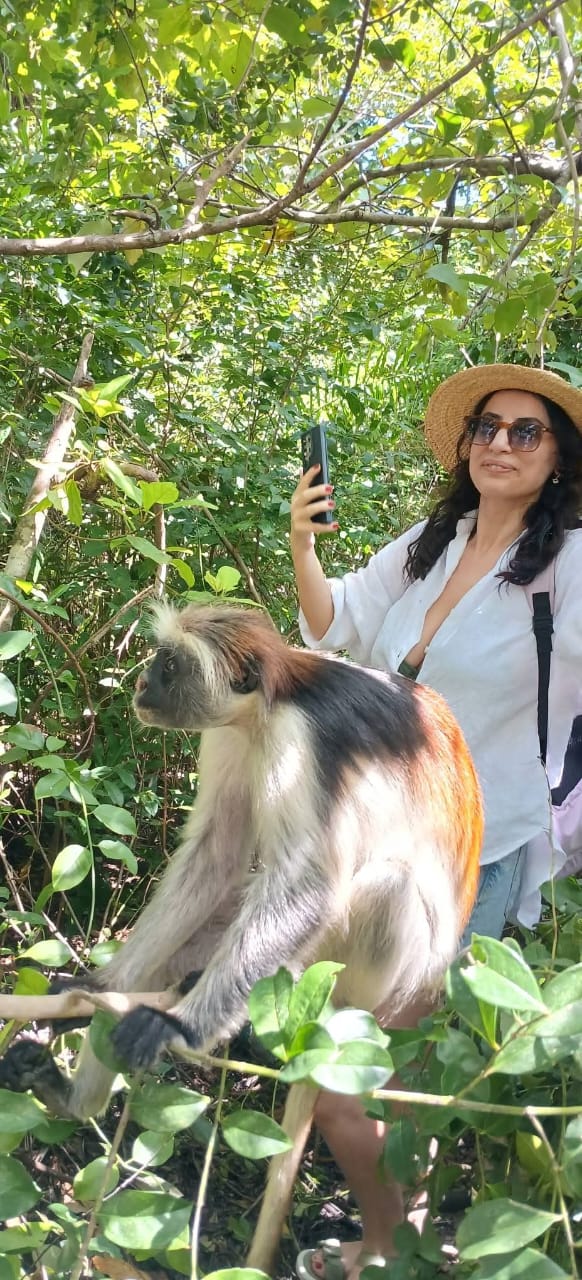 Jozani Forest + Salamu/Baraka Cave · Sea Turtles & Colobus